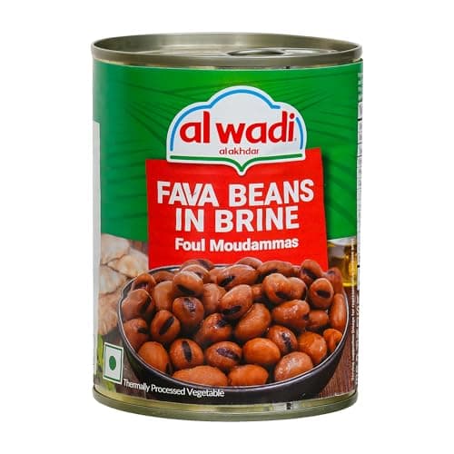 Al Wadi Foul Moudammas 400g | Authentic Fava Beans in Brine | Ready-to-Eat | Vegan & Protein-Rich | Perfect for Dips, Wraps & Middle Eastern Cuisine