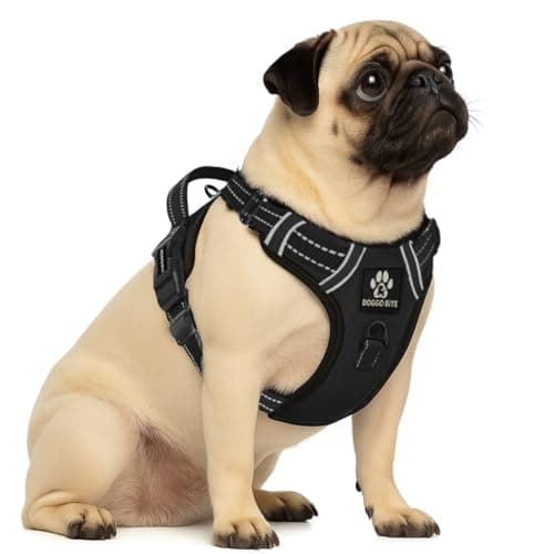 Doggo Bite Premium Reflective Dog Vest Harness| Soft Breathable| Padded Handle| Adjustable Straps & Luxury Buckle | Soft Padded Mesh | No Pull | No-Choke | Chest (22-28inch) All Small Breeds 4-13Kg