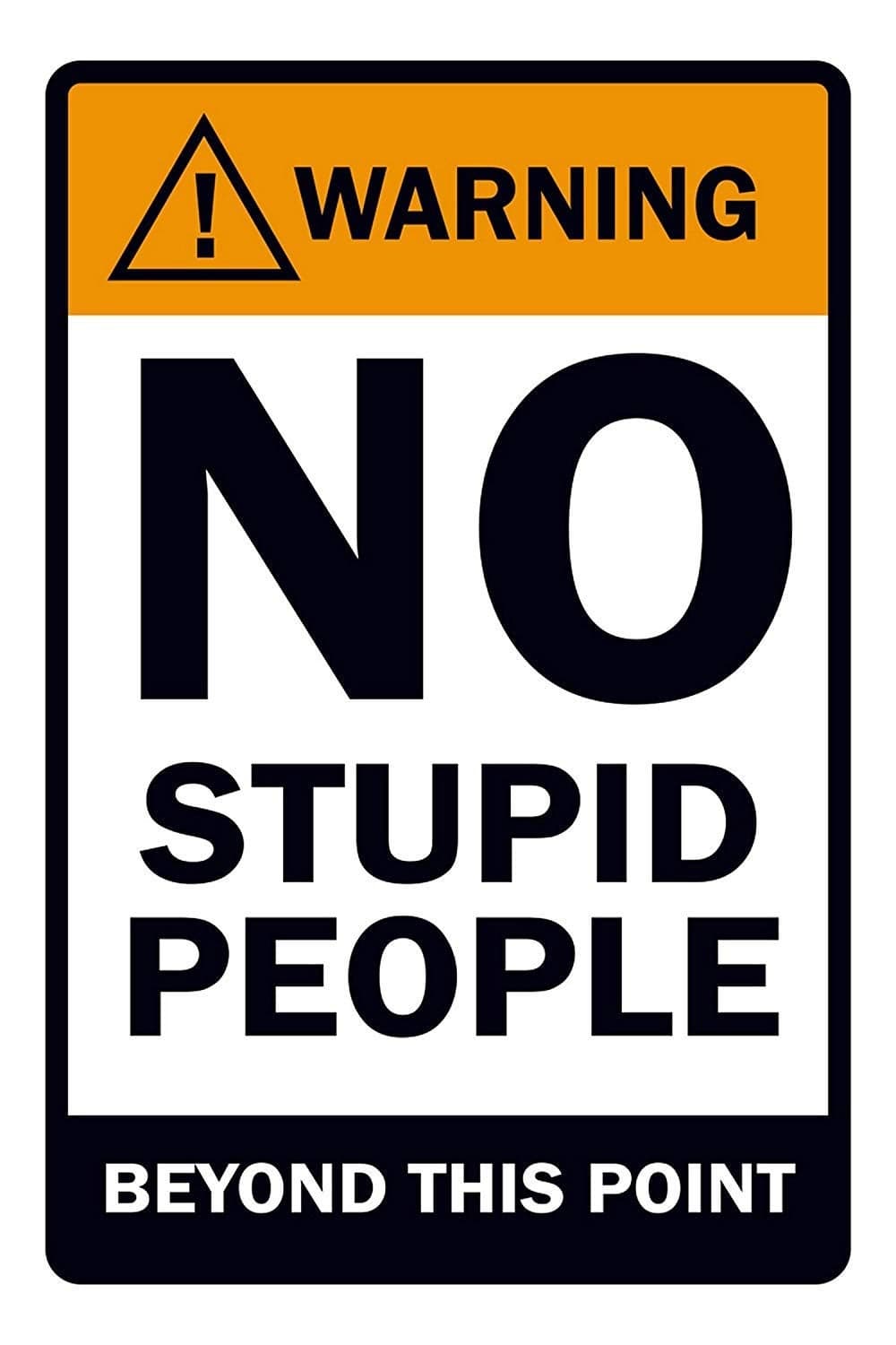5 Ace "NO STUPID PEOPLE BEYOND THIS POINT WARNING WALL POSTER OF 300 GSM (12X18) WITHOUT FRAME