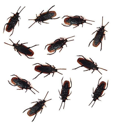 Cooplay 30pcs Fake Roaches Prank Cockroach Bugs Look Real Black Insect for Adult Funny Halloween Fools Day Christmas Party