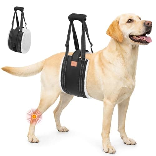 LOOBANI Dog Lift Harness for Back Legs, Portable Dog Sling for Large Dogs Hind Leg Support, Comfortable Leg Support Assistance for Elderly Dogs with Hip, ACL Brace, Senior, Injured