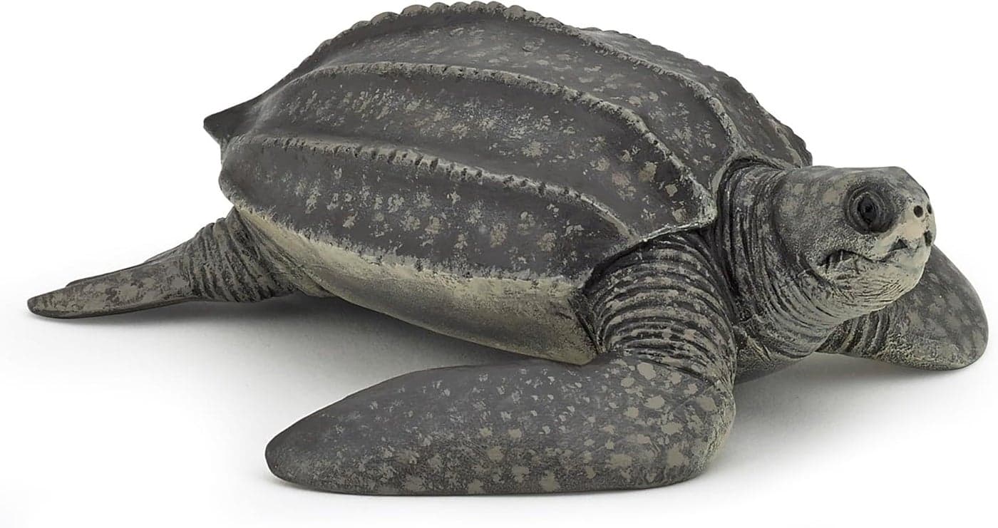 Papo HandPainted Figurine Marine Life Leatherback turtle56022 Collectible for Children Suitable for Boys and Girls from 3 Years Old