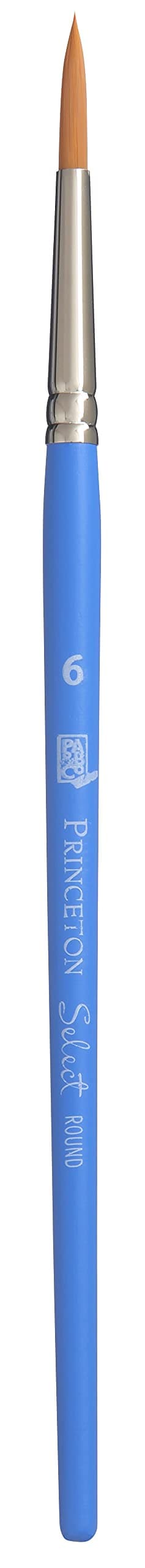 Princeton Select Artiste Paintbrush Size 6 Blue