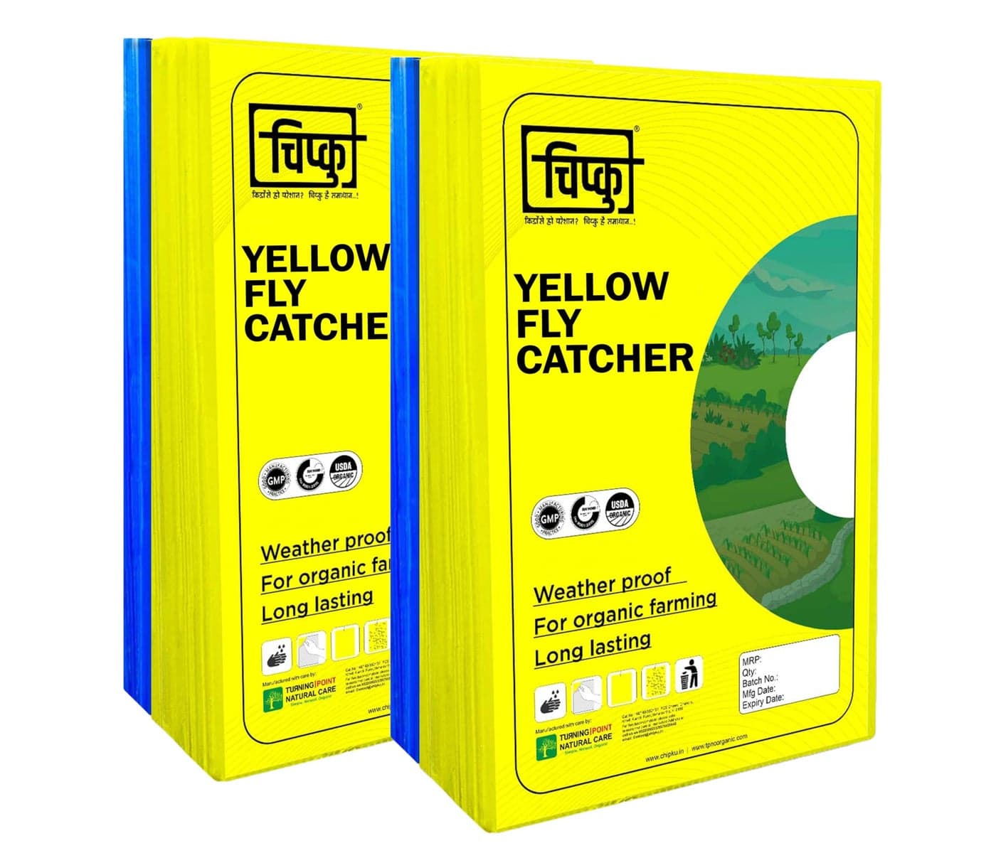 Chipku A4 Yellow & Blue Sticky Trap for Insects Pack of 25 Sheets| for Garden & Agriculture to Control Whiteflies, Aphids, Thrips, Jassids| Fly Catcher Insect Catcher Glue Trap for 100% Results
