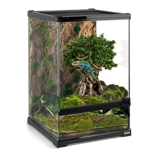 Waazoorep Mini Reptile Glass Terrarium Tank 8"x8"x12“ Full View with Front Opening Door and Enclosure Habitat Cage for Leopard Gecko Tarantula Young Lizard Hermit Crab Frog Insects Breeding Tank
