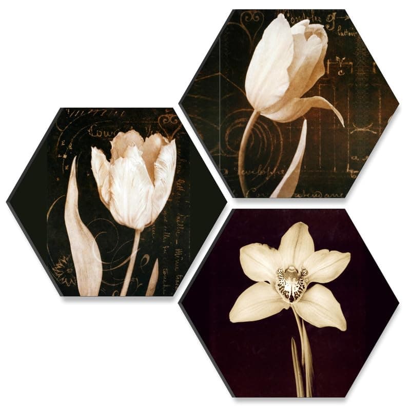 Saf Flower UV Textured MDF Set of 3 Hexagon Painting 17 Inch X 17 Inch SANFHX130