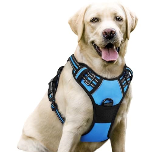 rabbitgoo Dog Harness No Pull with 2 Leash Clips, Adjustable Soft Padded, Reflective Oxford No Choke Pet Vest with Easy Control Handle for Large Dogs, Blue, L