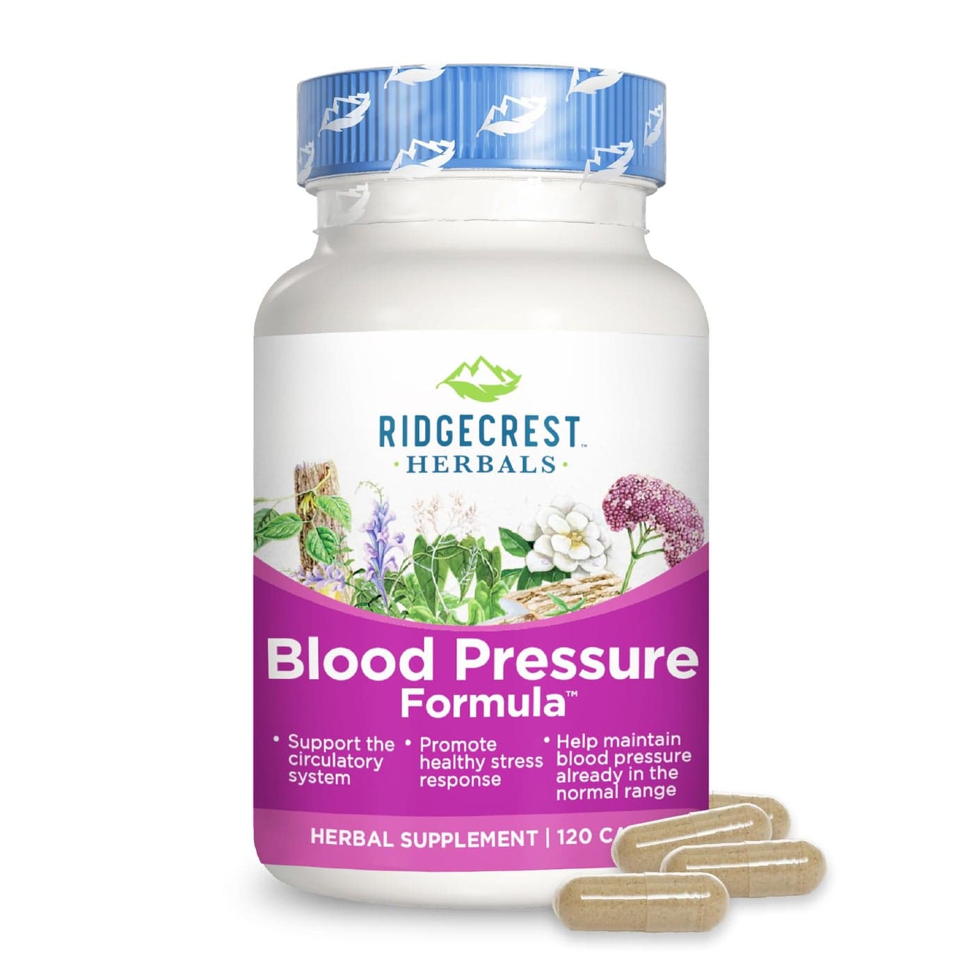 RidgeCrest Herbals Blood Pressure Herbal Formula 12 Herbs Poria Mushroom Gastrodia Gardenia for Heart Vascular Circulation Health 120 Count