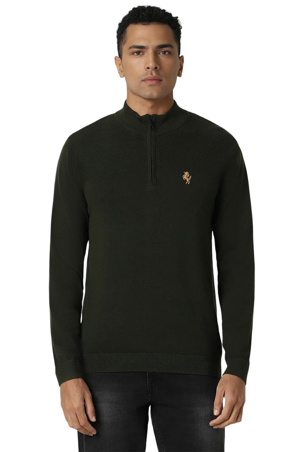 Men Green Patterned Round Neck Sweater