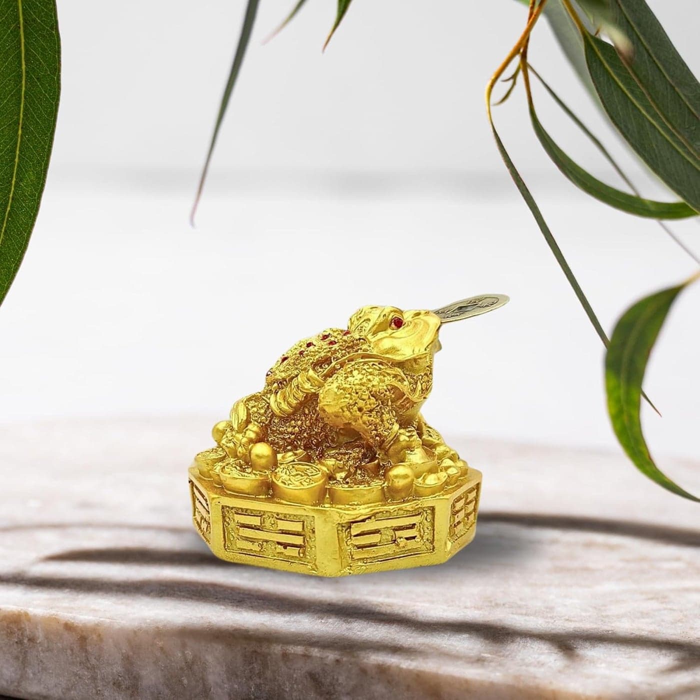 Plus Value Feng Shui Lucky Three Legged Money Frog with Coin in Mouth Toad Good Luck Wealth Prosperity Success Happiness Positivity Home Office Decor Gifting Golden 3 Inches Fiber Religious