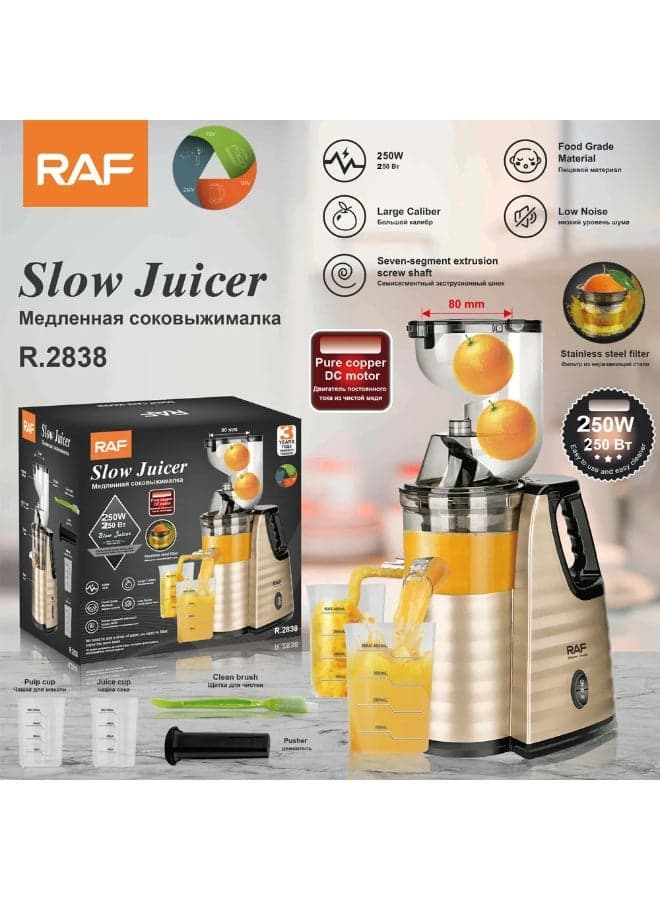 RAF 250W 250Bt Slow Juicer Machine | Stainless Steel Cold Press Juicer | High Juice Yield | Food Grade Material