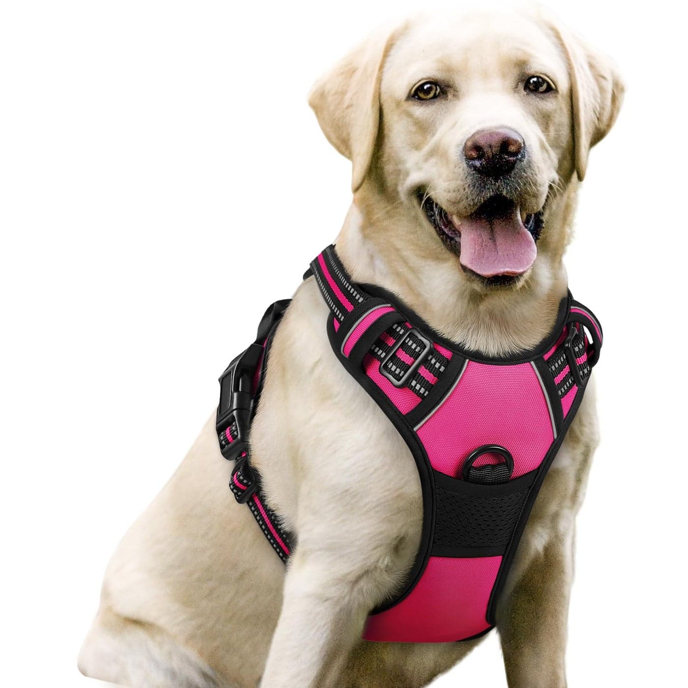 rabbitgoo Dog Harness No Pull with 2 Leash Clips Adjustable Soft Padded Reflective Oxford No Choke Pet Vest with Easy Control Handle for Large Dogs Hot Pink L
