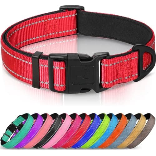 Joytale Reflective Dog Collar, Soft Neoprene Padded, Metal D-Ring, Nylon Pet Collar Adjustable for Small Dogs, Red, S