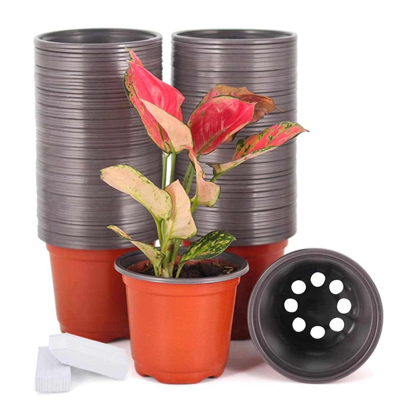 JERIA 100Pack 4 Inch Plastic Plant Nursery Pots Come with 100 Pcs Plant Labels Seedling Flower Plant Container and Seed Starting Pots