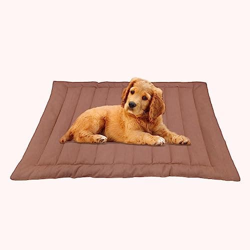 I WISH Quilted Pet Bed Mattress | Washable Pet Bed| Light Weighted Polyester Dog Flat Mat (Medium) 100 X 66 Cm (Orange Peach)