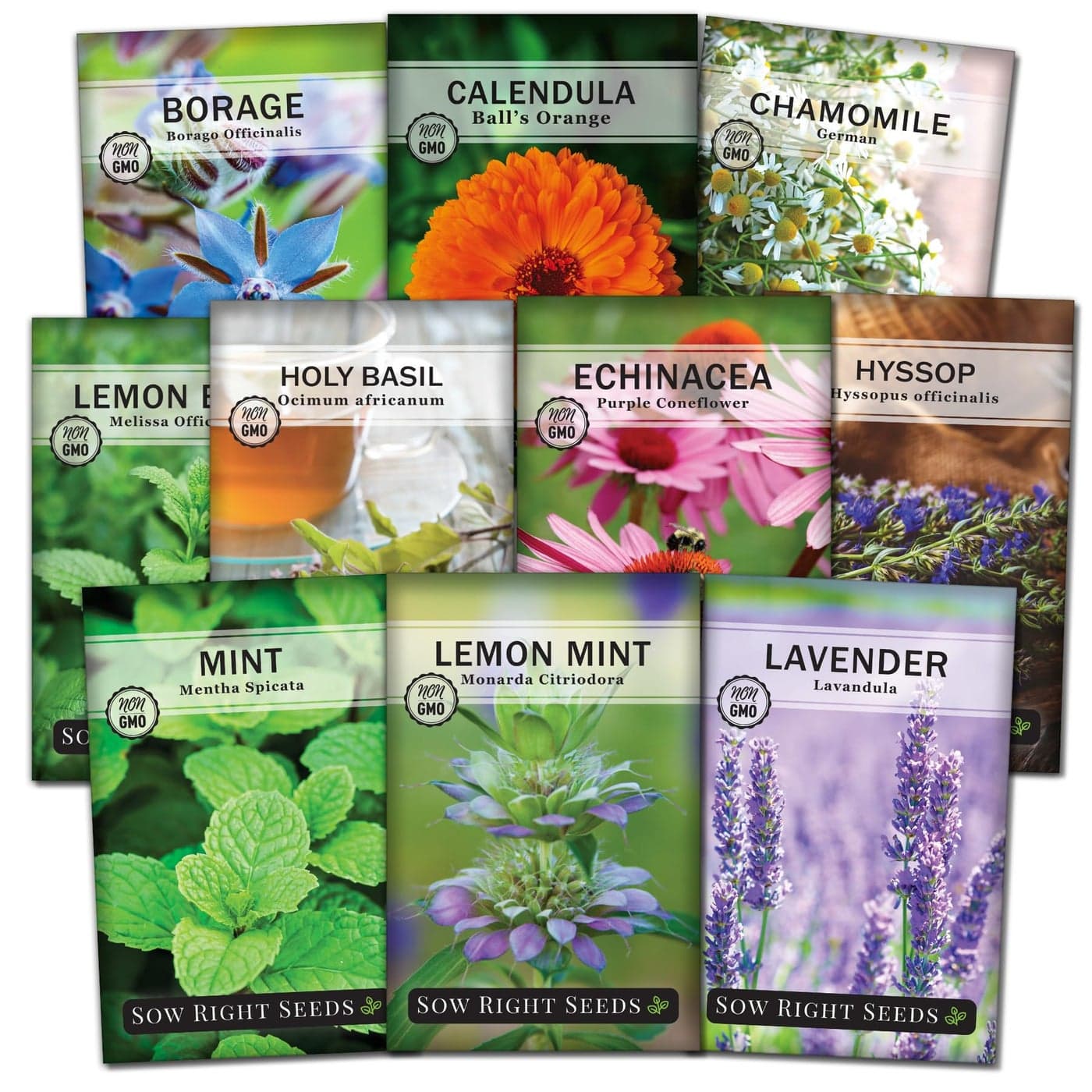 Sow Right Seeds - Large Herbal Tea Garden Seed Collection for Planting - Lemon Balm, Mint, Chamomile, Lavender, Echinacea, Borage, Hyssop, Calendula, and Holy Basil Tulsi - Non-GMO Heirloom to Grow