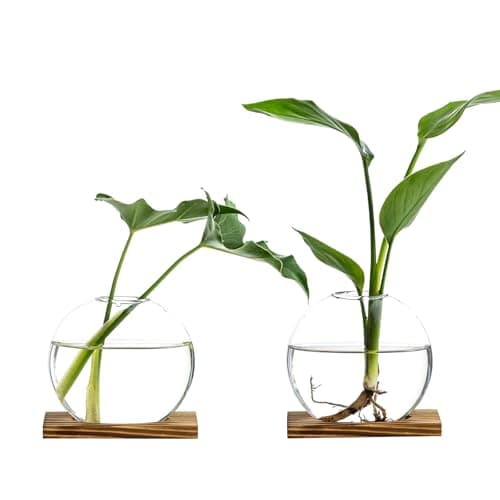 CHPINDAM Propagation Vases for Plants - Glass Terrarium Planter with Wooden Stand, Small Desktop Oblate Hydroponic Propagation Vases for Modern Home & Office Decor (2)