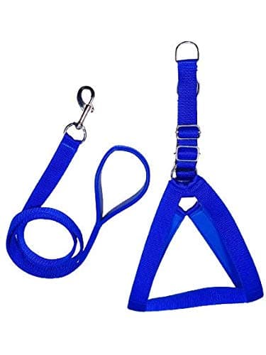 Smart Doggie® Dog Chest Belt Combo of 1 inch Padded Dog Body Harness with 1inch Lead for Pet Dogs Adjustable Chest for Medium Dogs (Blue)