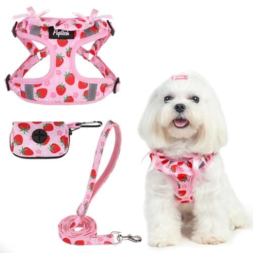 PUPTECK Dog Harness and Leash Set Small Sized, Step in No Pull Adjustable Puppy Cat Harness Reflective Pet Vest