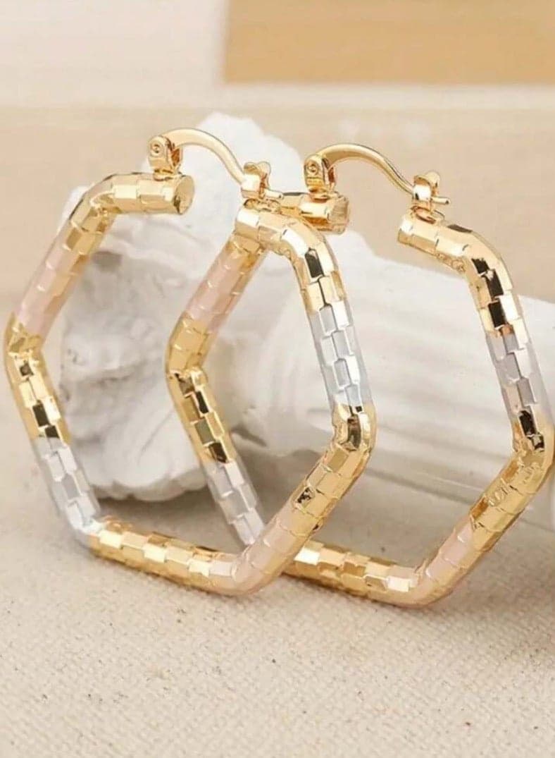 Elegant Stainless Steel Hoop Earrings For Women
