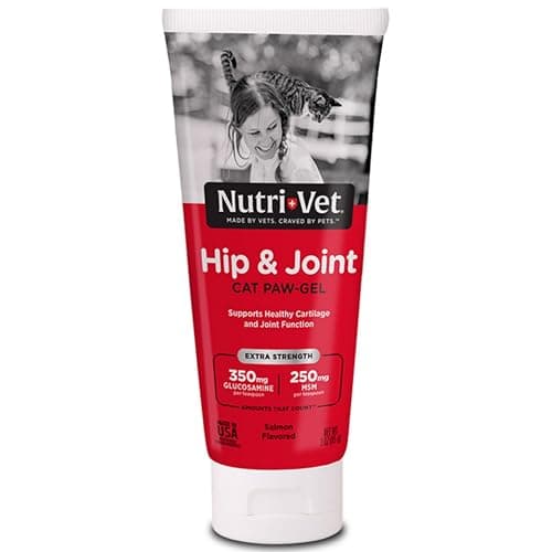 Nutri-Vet Hip & Joint Paw Gel, Cat Supplement with Glucosamine, MSM, Chondroitin, Pain Relief and Hip Support, Salmon Flavor, Easy Cat Care Essential, Pet Supply, 3 oz