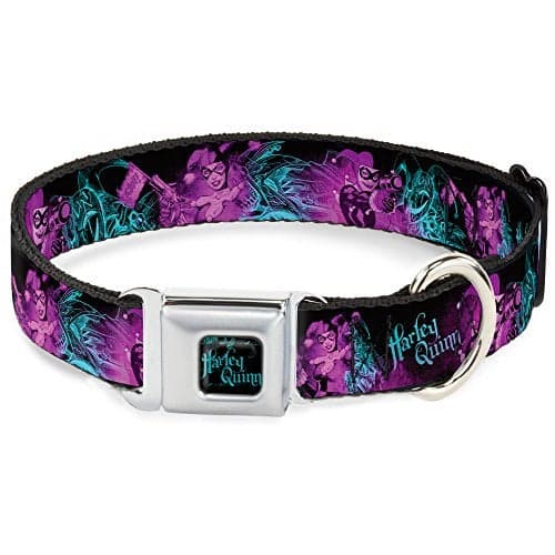 Dog Collar Seatbelt Buckle Harley Quinn Pow Aiming Poses Joker Black Turquoise Fuchsia 18 to 32 Inches 1.5 Inch Wide