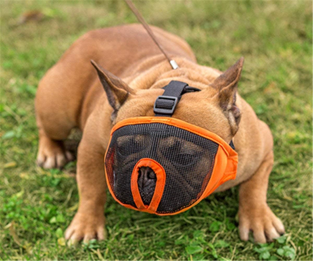 COZY PUPPIES Short Snout Dog Muzzle- Adjustable Breathable Mesh Bulldog Muzzle for Biting Chewing Barking Training Dog Mask- Color May Vary (X-Large (18-25 INCH))