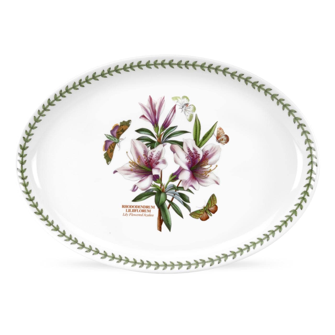 Portmeirion Botanic Garden 15 Oval Serving Platter Lily Flowered Azalea Motif Durable Porcelain Baking Dish with ChipResistant Glaze Dishwasher Microwave Safe Stylish Bakeware Serveware