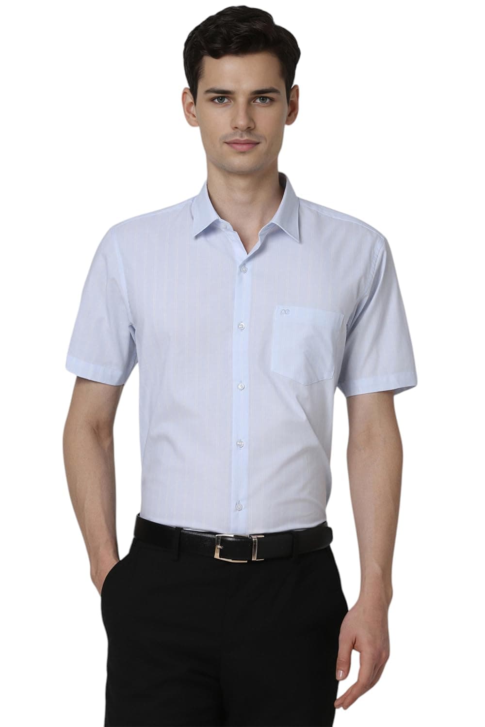 Peter England Men Polycotton Regular Fit Shirt (PESHWNUB860476_Light Blue, 39