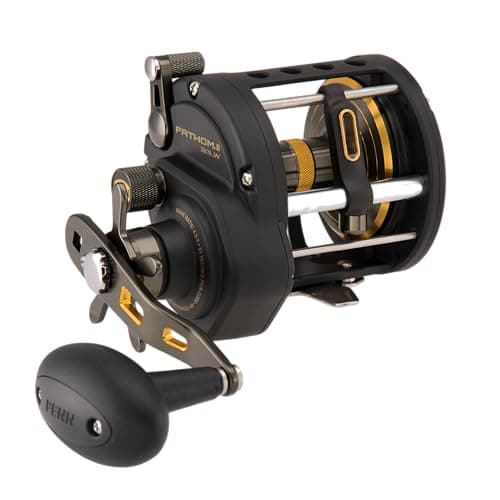 Penn Fishing FTHII30LW Spinning Rod Reel Combos Black Gold 1481311
