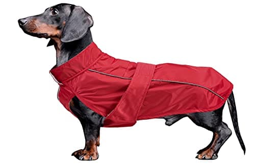 Dachshund Coat Waterproof Weiner Dog Clothes Perfect for Dachshund Weiner Corgi Winter Jacket Fleece Hook Loop Closure underbelly Protection Red M