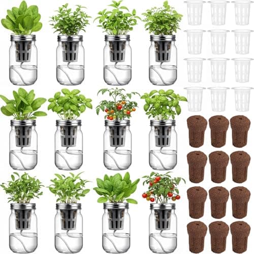 Teenyyou 12 Set Hydroponic Garden Mason Jar Kit Self Watering Herb Hydroponic Planter Starter Kit with Net Pot Garden Flower Plant Growing Gift for Indoor Herbs Windowsill Gardening