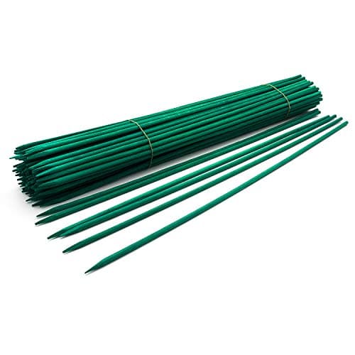 Royal Imports Green Wood Plant Stake, Bamboo Floral Gardening Sturdy Support Picks, Wooden Sign Posting Potted Garden Orchid Sticks (12 Inch - 100 Pcs)