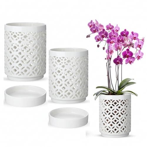 Ferrochef 2 Pack 4 Inch Orchid Pots with Holes and Saucers, Ceramic Orchid Pot for Repotting, Flower Planter Pot Indoor Outdoor, Breathable Slotted Orchids Planter Gifts for Moms(White)