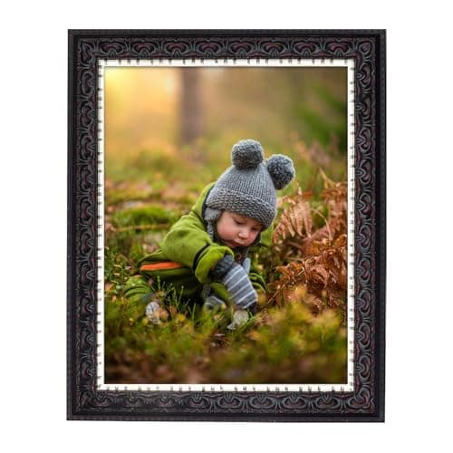 Golden State Art 8.5x11 Photo Frame - Ornate Design Black with Silver and Burgundy - Wall Hanging or Tabletop - Real Glass - Great for Pictures/Diplomas/Prints