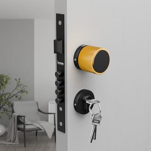 Medellin 1017 Mortise Door Lock Handle Set with Round Knob | Brass Construction | Jet Black & Gold PVD Finish | 70mm Cylinder with 3 Brass Keys | Fits 30–45mm Doors