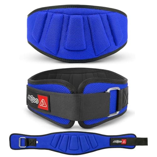 APRODO Power Guidance Nylon Weightlifting Belt Lumbar Waist Support Trainer Protector Belts for Weight Lifting Fitness Sport Gym (Blue, Small)
