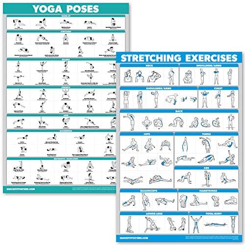 QUICKFIT Yoga Poses and Stretching Exercise Poster Set Laminated 2 Chart Set Yoga Positions Stretching Workouts 18 x 24