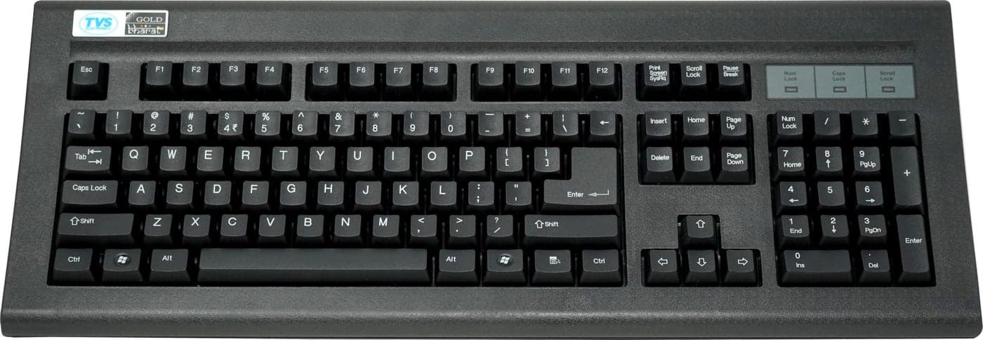 TVS ELECTRONICS Gold Wired Keyboard