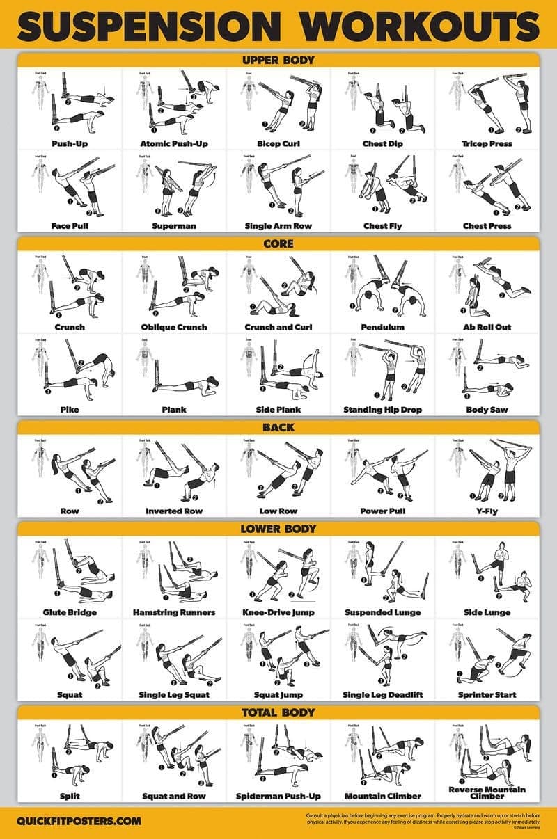 Palace Learning QUICKFIT Suspension Workout Exercise Poster Laminated 18in x 24in Hallway