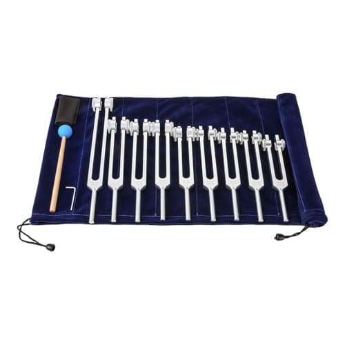 9 Pcs Silver Chakra Weighted Tuning Forks Set for Healing, 8 Chakra + 1 Soul Purpose Solfeggio Tuning Forks with Bag Hammer for Meditation, Mind and Spirit, Sound Therapy