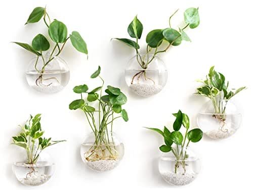Mkono Wall Hanging Glass Terrariums Planter Oblate Flower Vase for Hydroponics Plants, Bathroom, Home Office Living Room Decor, Set of 6