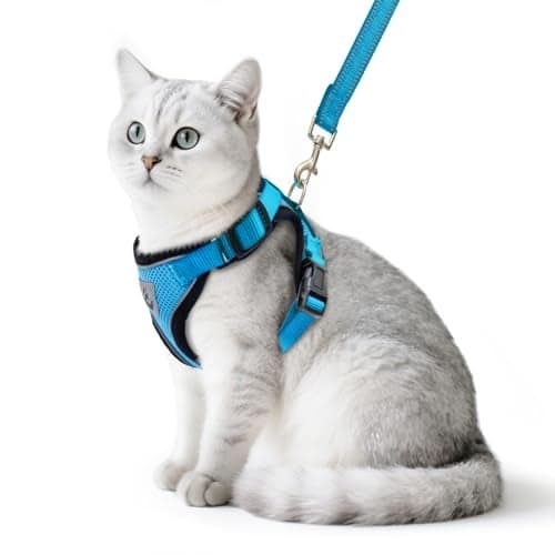 PUPTECK Cat Harness and Leash Set Escape Proof Reflective Cat Walking Harness Adjustable Soft Breathable Mesh Vest for Small Pets, Blue, M