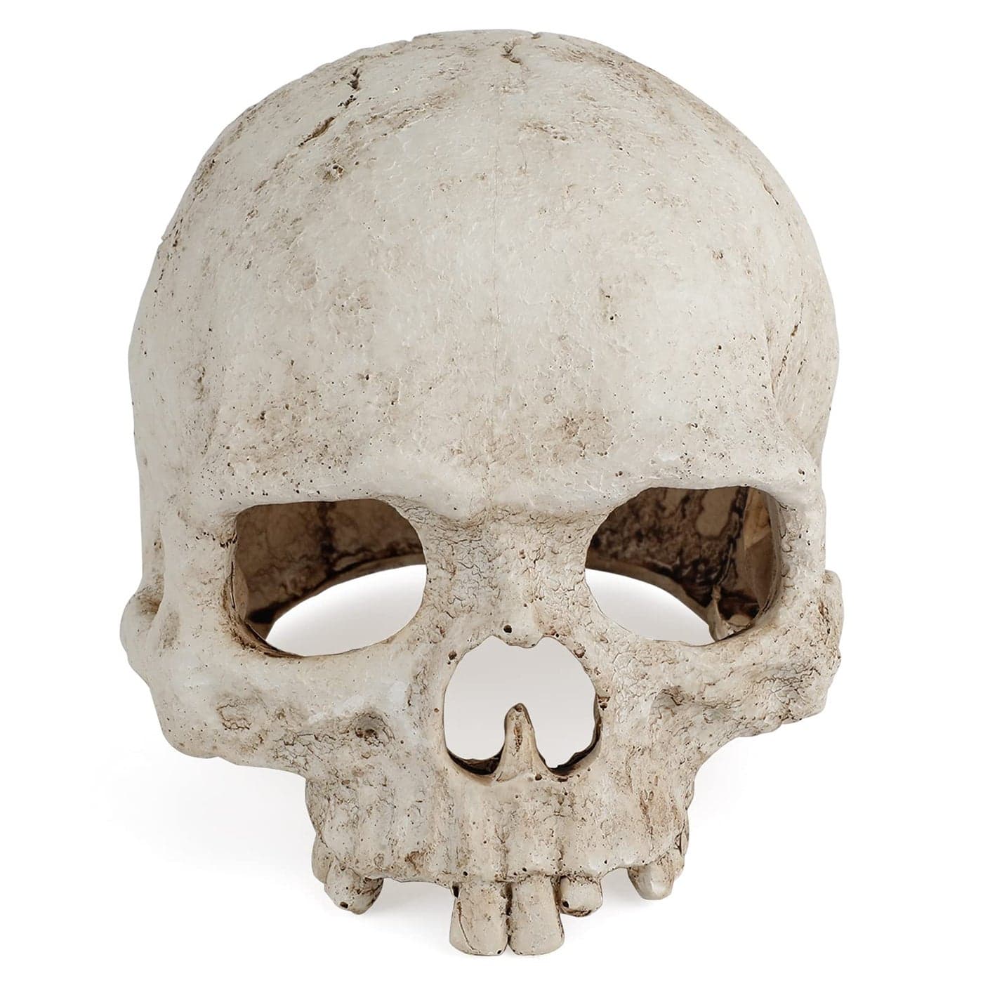 Uniclife Aquarium Skull Reptile House Decor Resin Head Skeleton Ornament for Tank Landscape Decorative Hideout Cave Shelter for Small Fish Shrimp Snail Gecko Spider Lizard in 520 Gallon Fish Tank