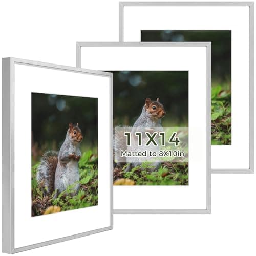 Golden State Art 11x14 Picture Frames 3 Pack with Real Glass & Removable Mats - Aluminum Frame for 11x14 Printsor 8x10 Photos with Mat - Silver Gallery Wall Frames for Home Office Decor