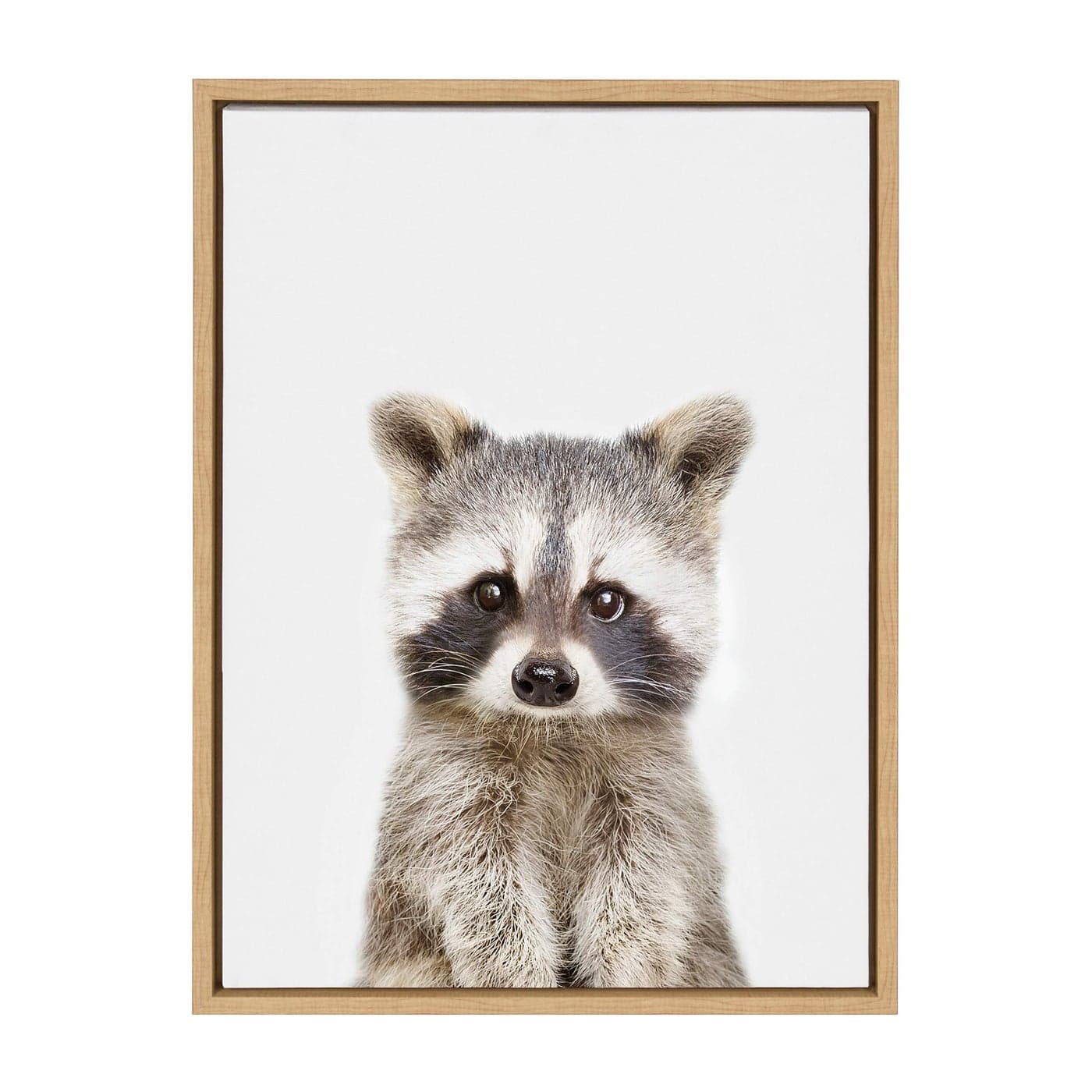 Kate and Laurel Sylvie Baby Raccoon Animal Print Portrait Framed Canvas Wall Art by Amy Peterson 18x24 Natural