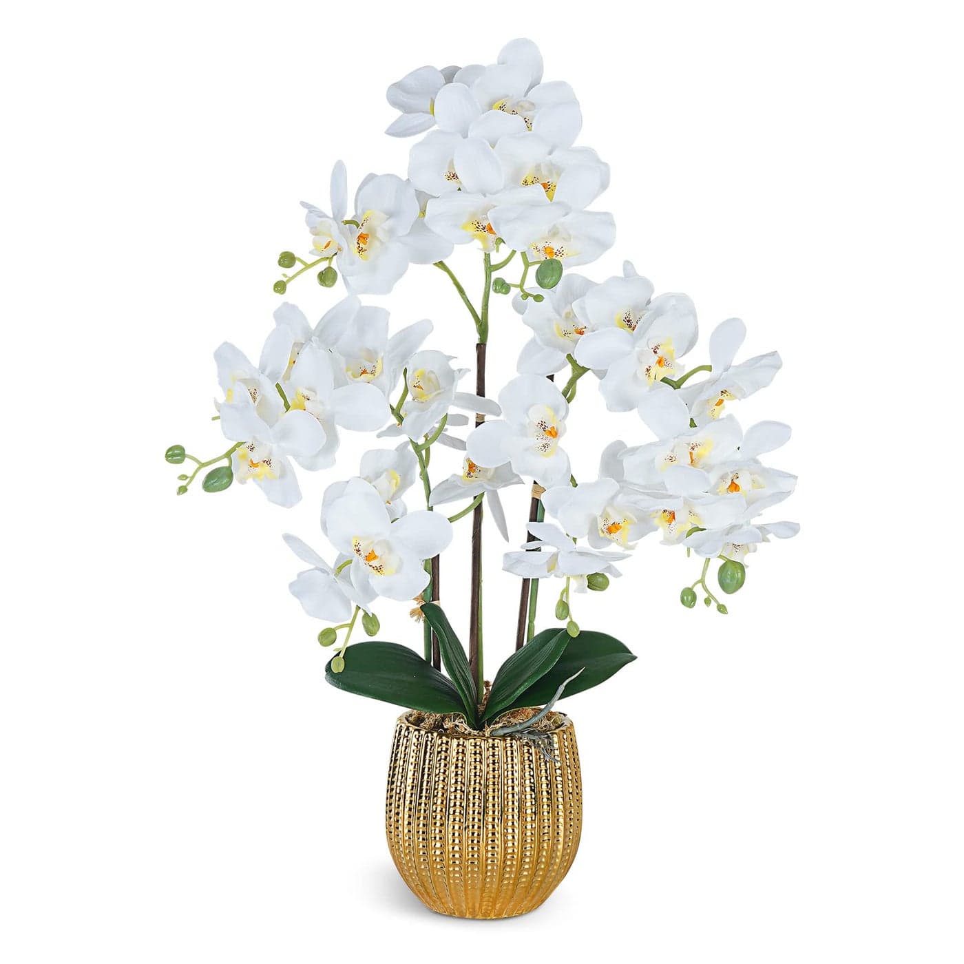 Ziwon Artificial Orchid Flowers Plants Potted in Ceramic Pot White Faux Phalaenopsis Orchids for Table Centerpiece Realistic Fake Flower Arrangement for Home Office Decor Indoor