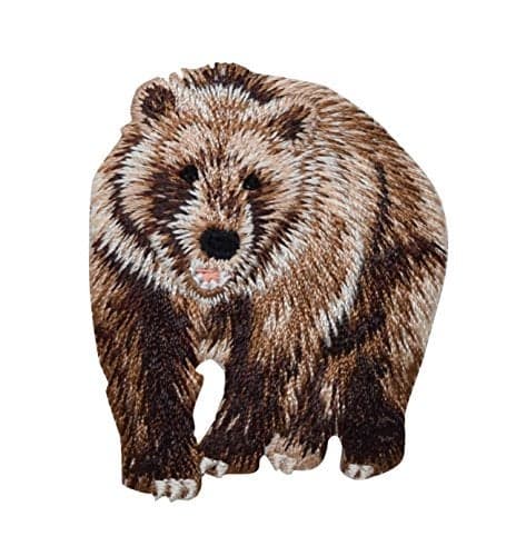 Bear Embroidered Iron on Patch