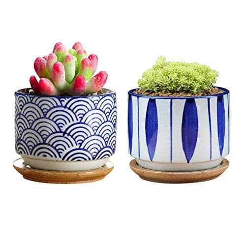 GeLive 3 Inch Ceramic Succulent Planter Cactus Plant Pot Flower Container with Bamboo Drip Tray Indoor Outdoor Set of 2 Wave and Blue Flower