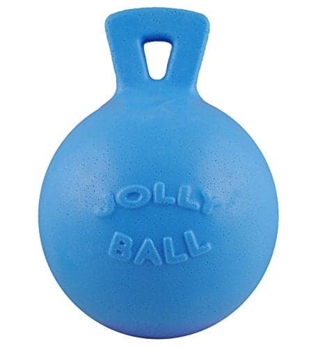 Jolly Pets TugnToss Heavy Duty Dog Toy Ball with Handle 45 InchesSmall Blueberry JP445BLUEBERRY